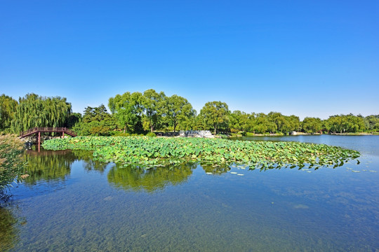 公園