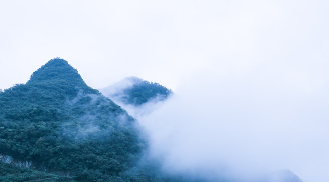 高山 云 雾