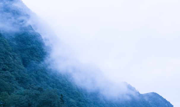 高山 云 雾