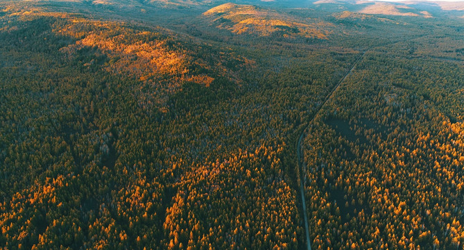 茫茫林海山路 航拍