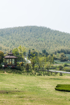 黄龙岘村景