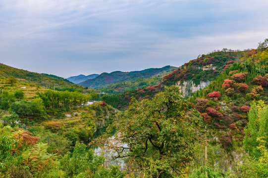 镇门峪秋色