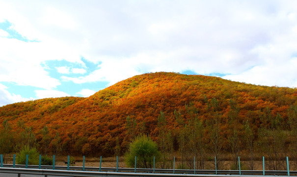 秋天公路风景