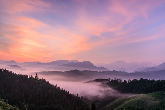 复兴村茶山日出