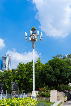 玉兰花广场路灯路灯