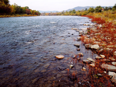河流河边河水秋季