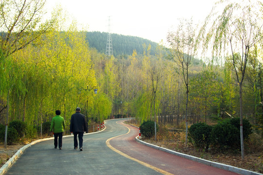 山間小路背影