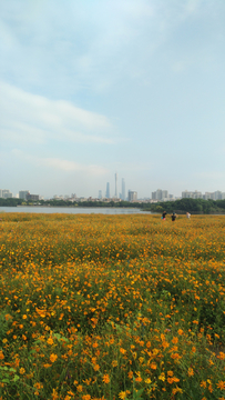 廣州花海