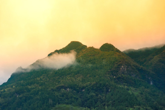 高山云雾