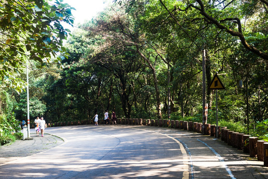 山区公路 弯道