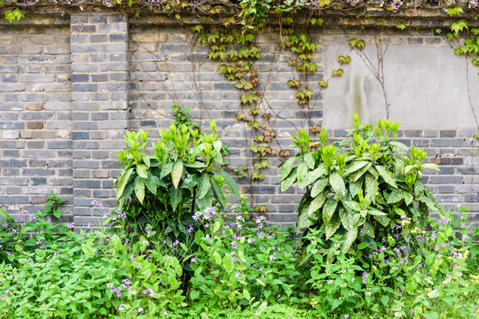 中山植物园园林景观