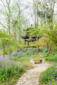 中山植物园园林景观