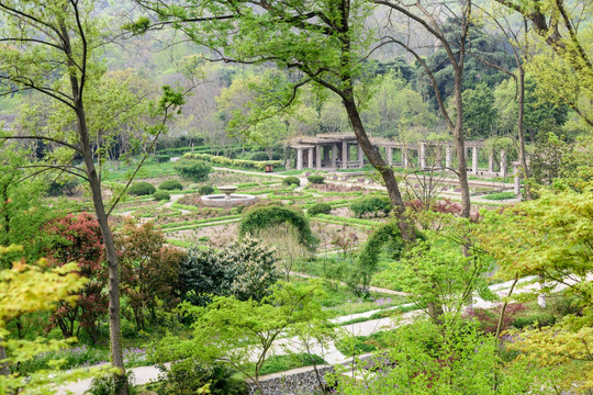 中山植物园园林景观