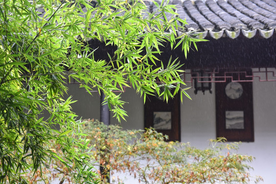 传统建筑 庭院 竹林