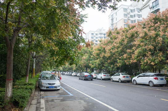 城市道路