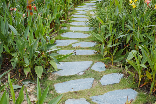 園路