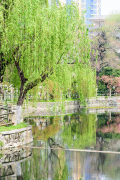 湖边美景