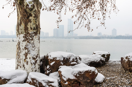 湖畔雪景