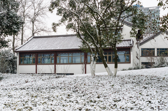 湖畔雪景