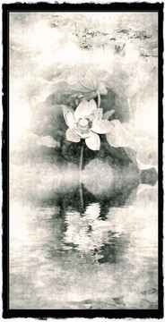 復(fù)古荷花掛畫(huà)
