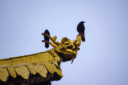 郎木寺 （22）