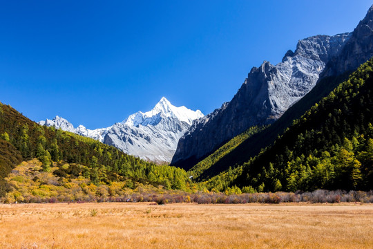 冲古草甸前的夏诺多吉雪山