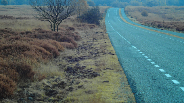 草原风光公路