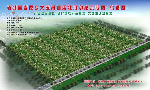 種植效果圖