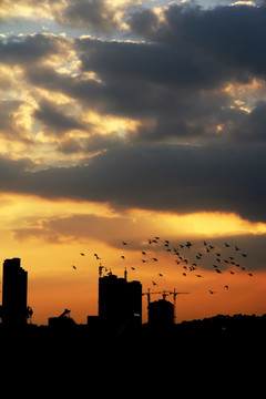 城市夕阳