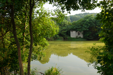 池塘边