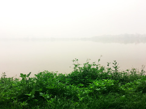 波海湖 湖景风光