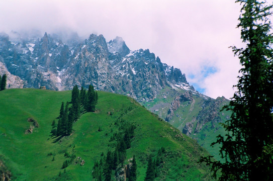 风景