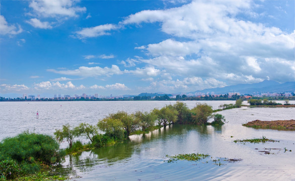 滇池湿地