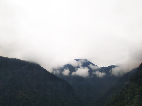 高山白云