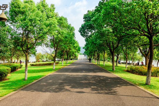 阳光绿道 游步道