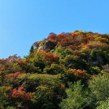 山岭秋色