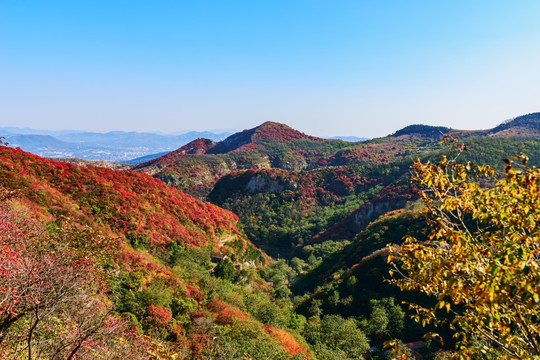 大山秋色