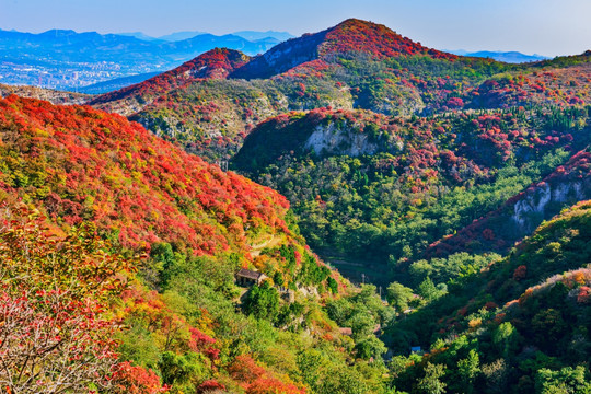 大山秋色