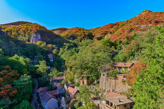 山村秋色