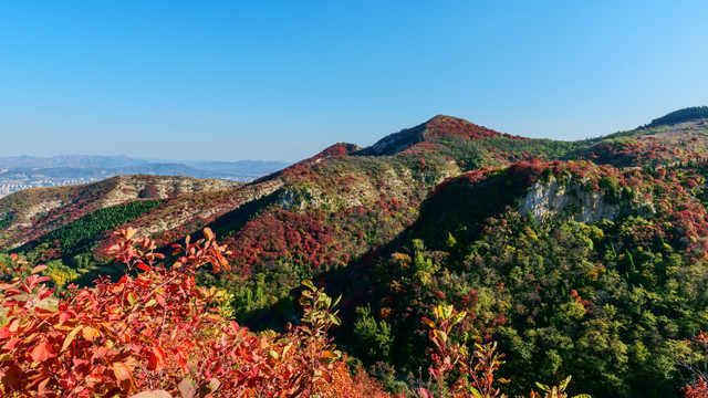 大山秋色