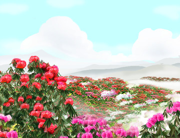 百里杜鵑