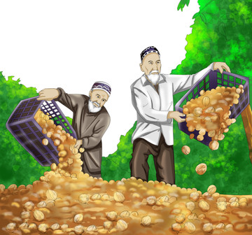 新疆風情核桃豐收