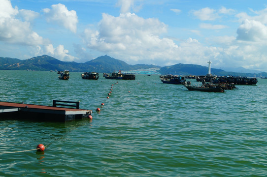 深圳蛇口海域风光