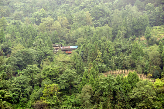 大山深处 农家房屋 庄稼地