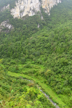 深谷河流 峡谷溪流 高山丛林