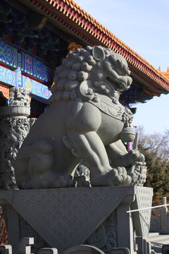 浮雕 雕塑 狮子