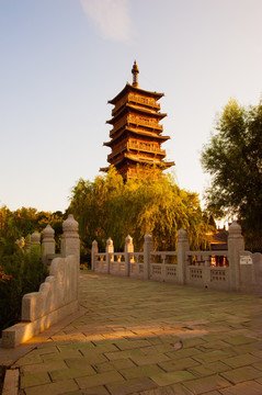 北京榆树庄公园