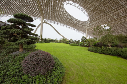 草地 绿化 盆景 草坪 景观