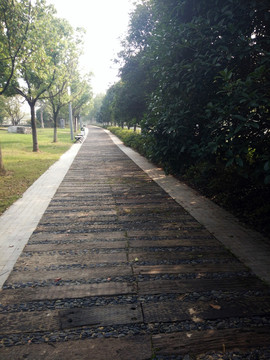 公園小路