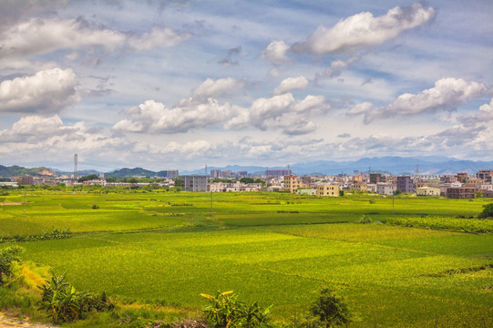 沙溪镇 刘畔村 田园风光